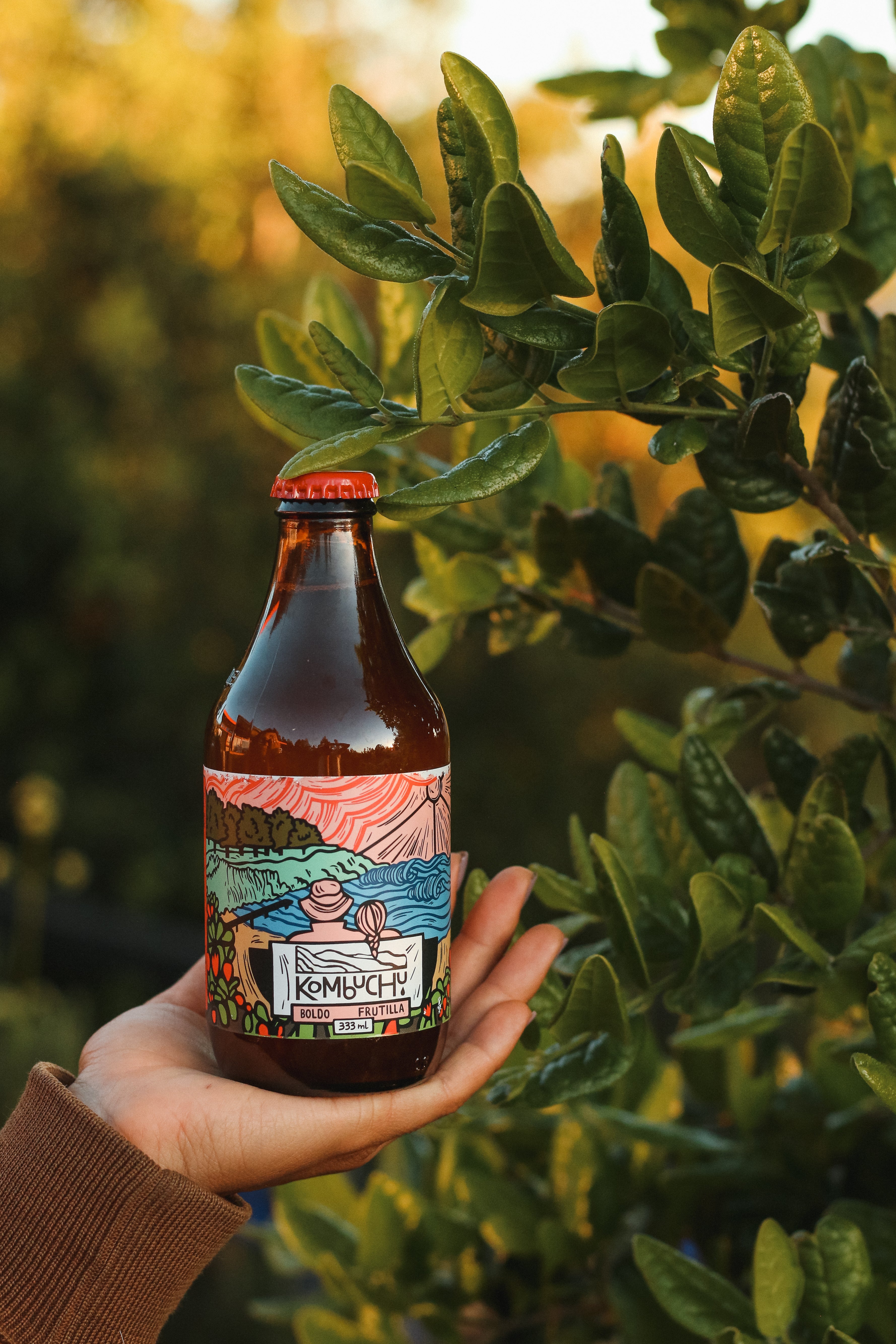 Caja Kombuchu Boldo - Frutilla (12x333cc)