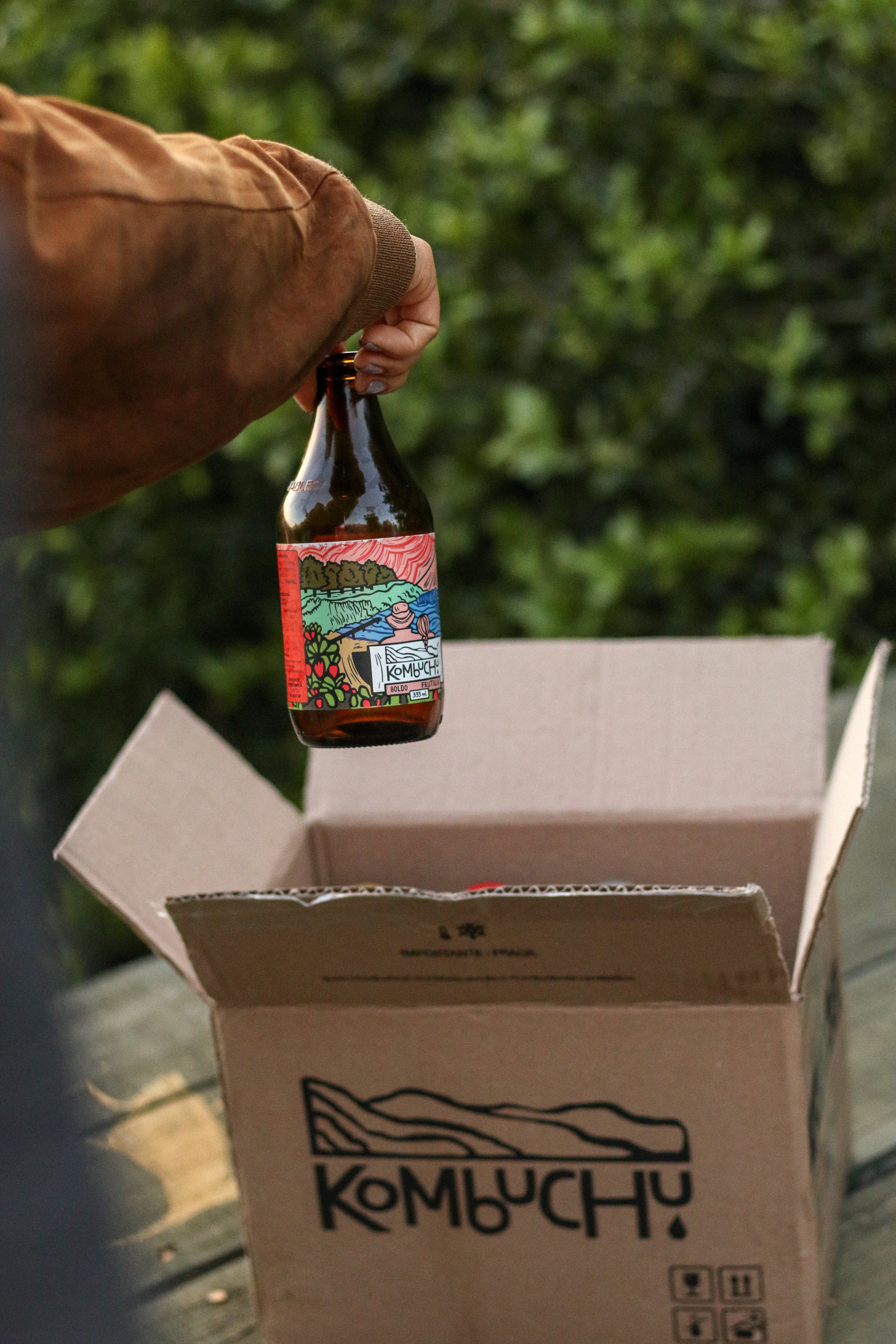 Caja Mixta Verano - Boldo Frutilla (12x333cc)