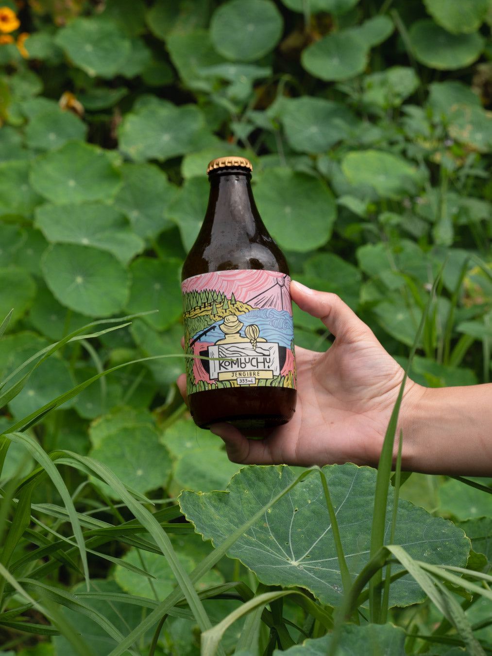 Caja Kombuchu Jengibre (12x333cc)