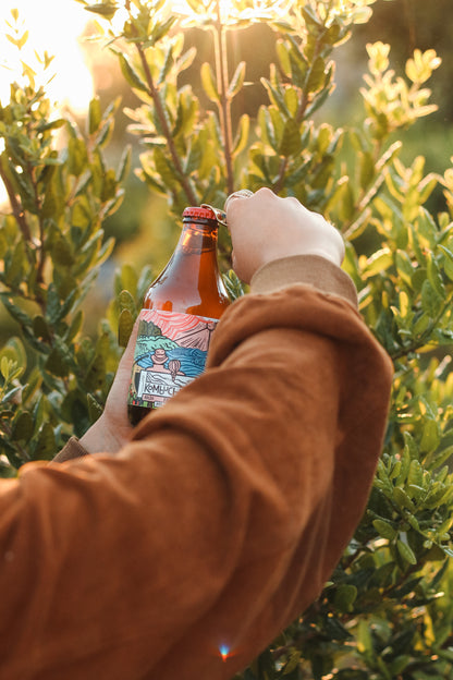 Caja Mixta Verano - Boldo Frutilla (12x333cc)