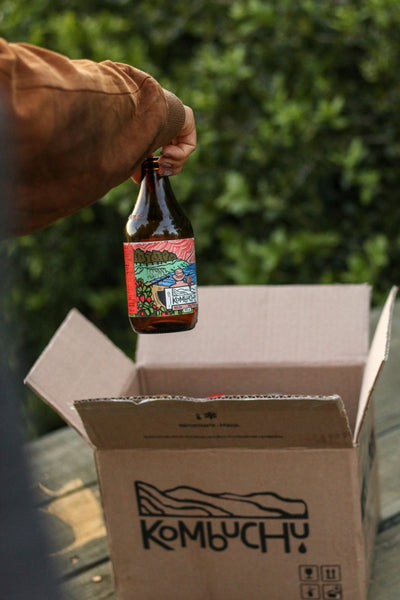 Caja Mixta Verano - Boldo Frutilla (12x333cc)