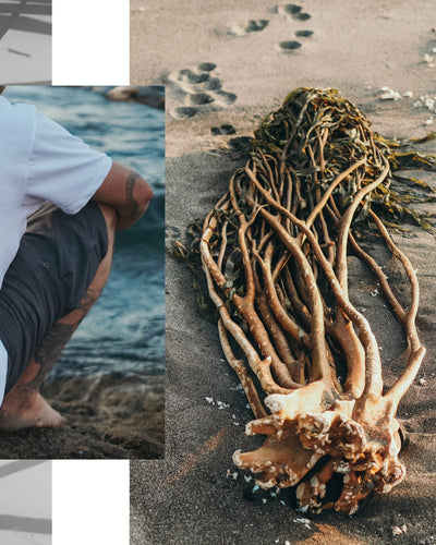 Polera ¿Sabes el valor de nuestras Algas? (Hombre)