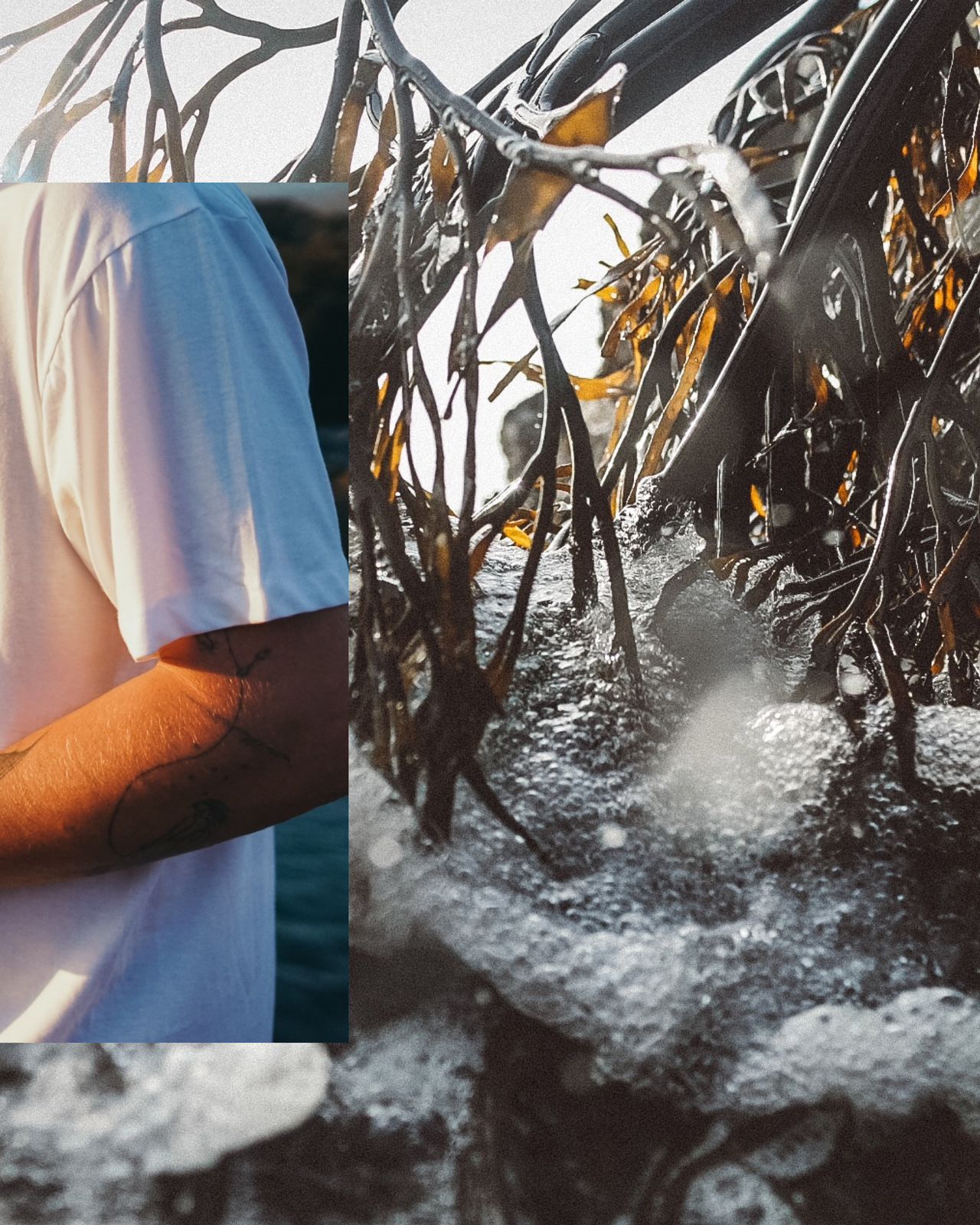 Polera ¿Sabes el valor de nuestras Algas? (Hombre)