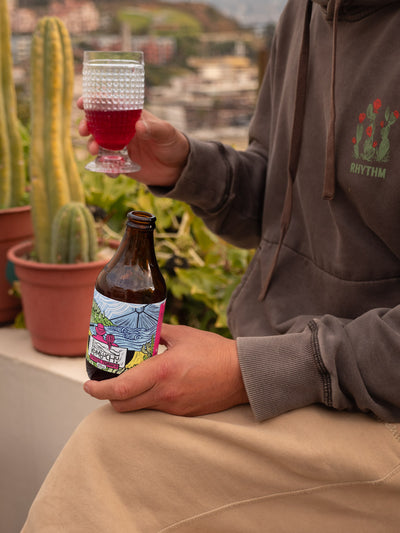 Caja Kombuchu Hibiscus-Frambuesa (12x333cc)