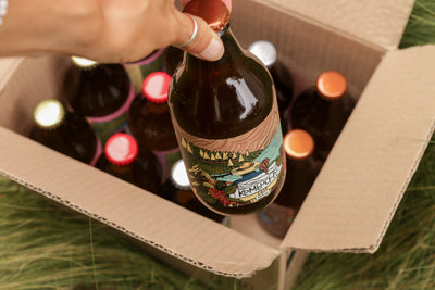 Caja Kombuchu Mix Café (12x333cc)