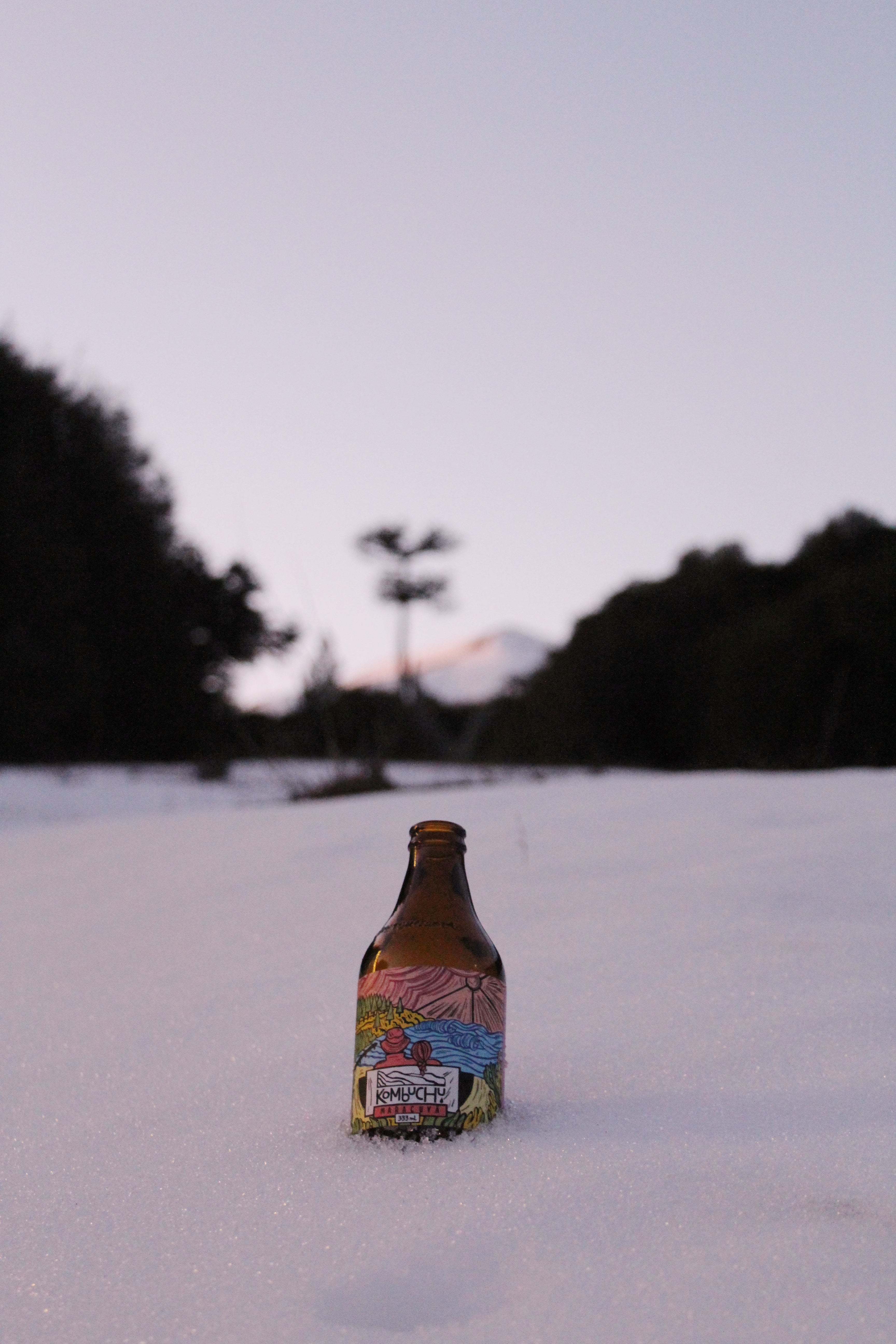 Kombuchu Maracuyá (12x333cc)
