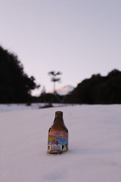 Kombuchu Maracuyá (12x333cc)