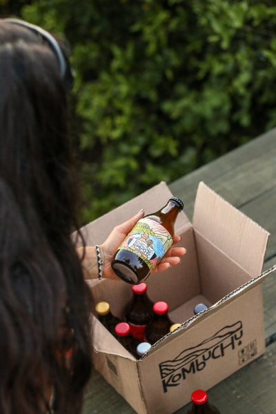 Caja Kombuchu Mixtas (12x333cc)