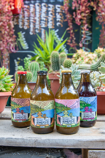 Caja Kombuchu Mixtas (12x333cc)